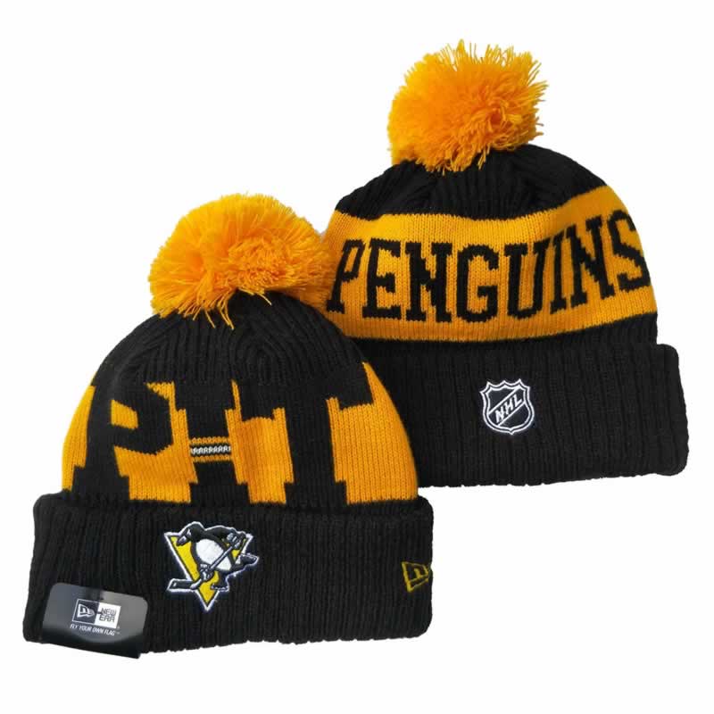 Pittsburgh Penguins Team Logo Knit Hat YD (5),We sell and wholesale Pittsburgh Penguins Team Logo Knit Hat YD (5) on line form chian!